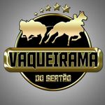 Profile avatar of vaqueiramadosertao