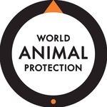 Profile avatar of world_animal_protection