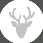 Profile avatar of deer.joy