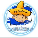 Profile avatar of soyguanako