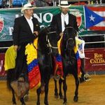 caballo_criollo_colombiano