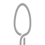 Profile avatar of cucchiaioit