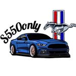 Profile avatar of s550only