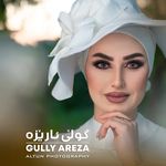 Profile avatar of gully_areza