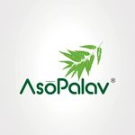 Profile avatar of asopalav