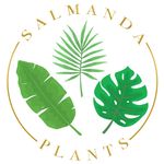 Profile avatar of salmandaplants