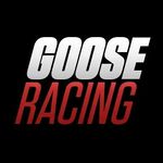 Profile avatar of goose_racing