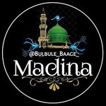 Profile avatar of bulbule_baage_madina