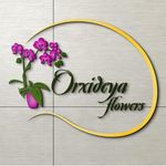Profile avatar of orxideya_flowers_