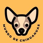 Profile avatar of mundodechihuahuas