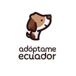 Profile avatar of adoptameecuador