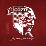 Profile avatar of goztepe