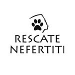 Profile avatar of @rescatenefertiti