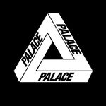 Profile avatar of palaceskateboards