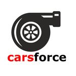 Profile avatar of carsforce.official