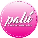 Profile avatar of @palu_oficial