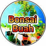 Profile avatar of bonsaibuah