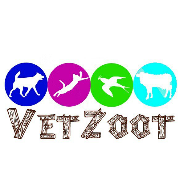 Profile avatar of vetzoot