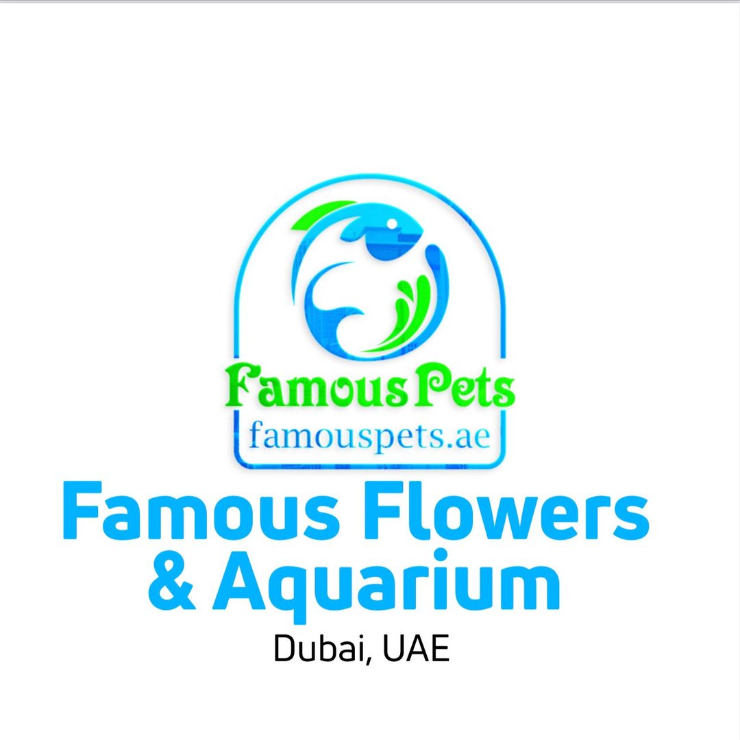 Profile avatar of famousflowers_aquarium_dubai
