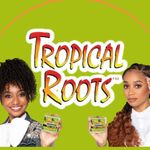 Profile avatar of @mytropicalroots