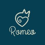 Profile avatar of romeomascotas