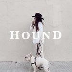 Profile avatar of houndcollection