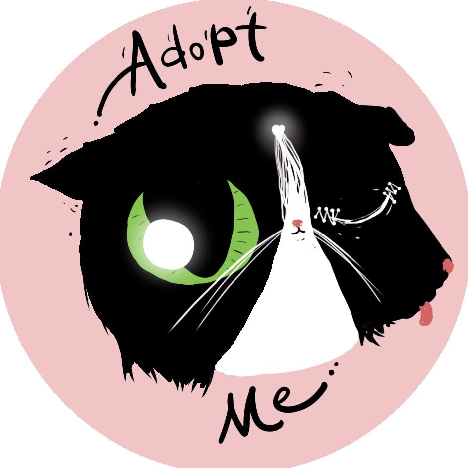 Profile avatar of adoptme06