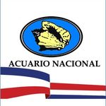 Profile avatar of acuariordo