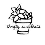 Profile avatar of thriftysucculents