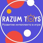 Profile avatar of razumtoys.ru