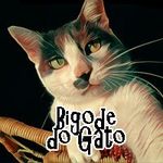Profile avatar of bigodedogato