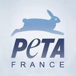 Profile avatar of peta_france