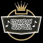 Profile avatar of efkardansarkilar