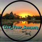 Profile avatar of live_your_sunsets