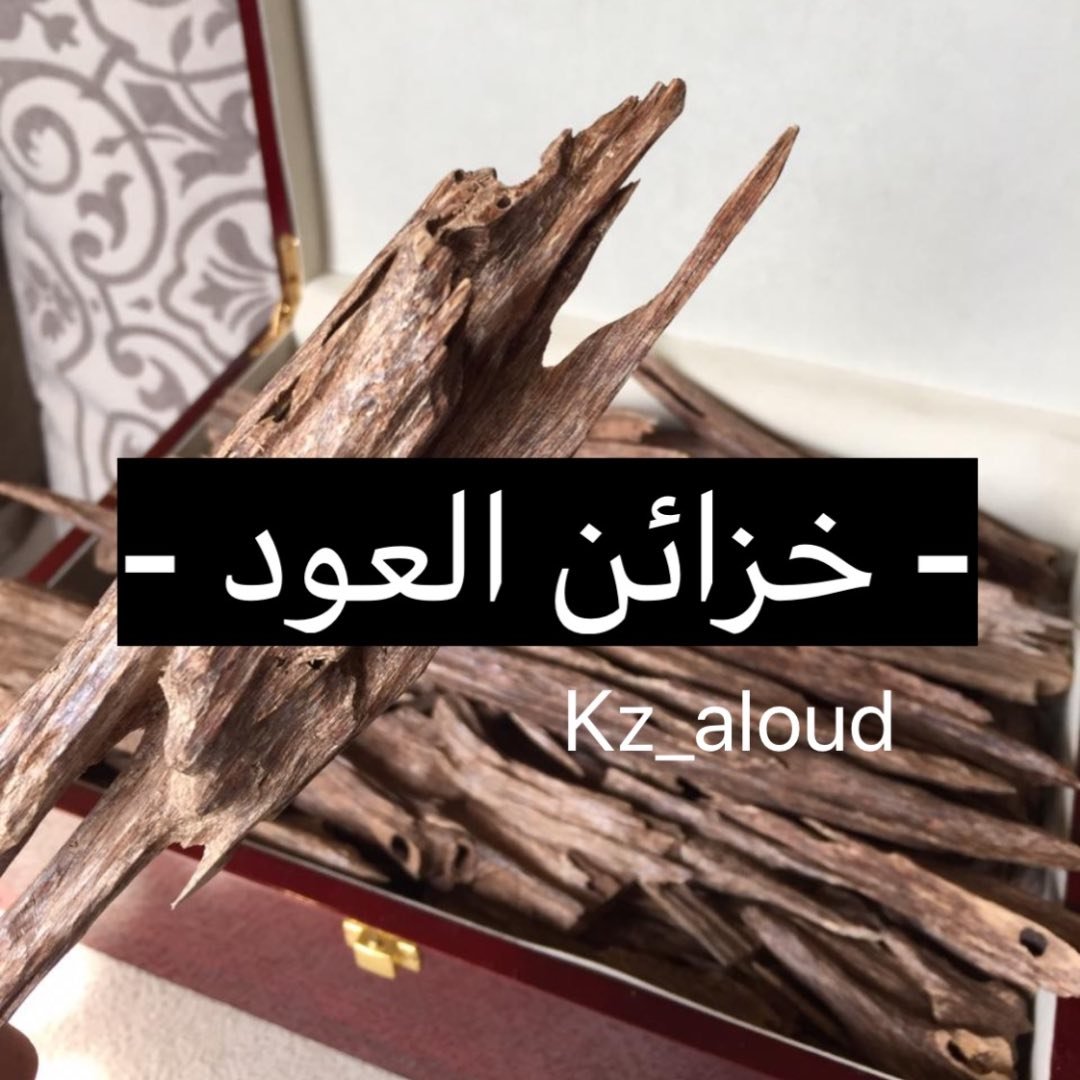 Profile avatar of kz_aloud