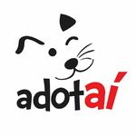 Profile avatar of adotai.oficial