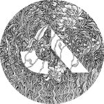 Profile avatar of sidekickproject