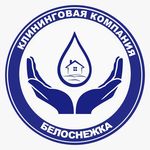 Profile avatar of belosnezhka.clean05