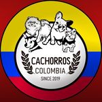 Profile avatar of __cachorroscolombia02__
