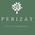 Profile avatar of platya_turkestan_perizat