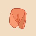 Profile avatar of vulvacasting
