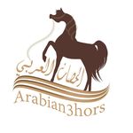 Profile avatar of @arabian3hors