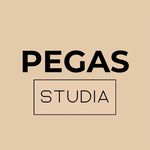 Profile avatar of studia_pegas