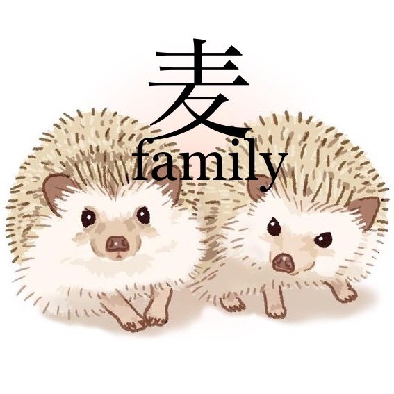 Profile avatar of hedgehog_mugi.komugi