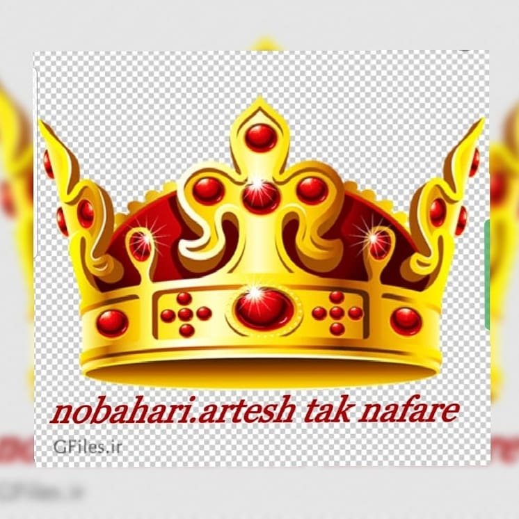Profile avatar of sharareh_nobahari_muscleking