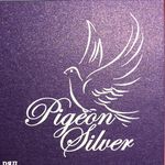 Profile avatar of @pigeon_silver