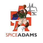 Profile avatar of spiceadams
