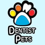Profile avatar of dentist_pets