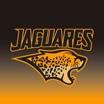 Profile avatar of jaguaresarg