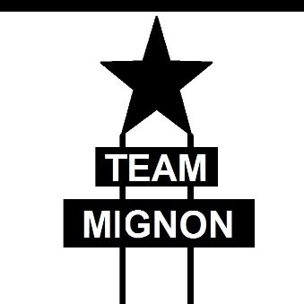 Profile avatar of team_mignon2.0